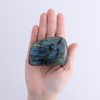 Labradorite Freeform Set of 4 - Expert Wholesale and Supplier of Wholesale Crystals & Bulk Gemstones, ["Freeforms","Labradorite","Madagascar"]