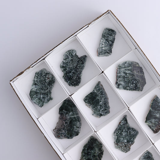 Seraphinite Slices Set of 12 - Expert Wholesale and Supplier of Wholesale Crystals & Bulk Gemstones, ["Seraphinite","Slices and Slabs"]