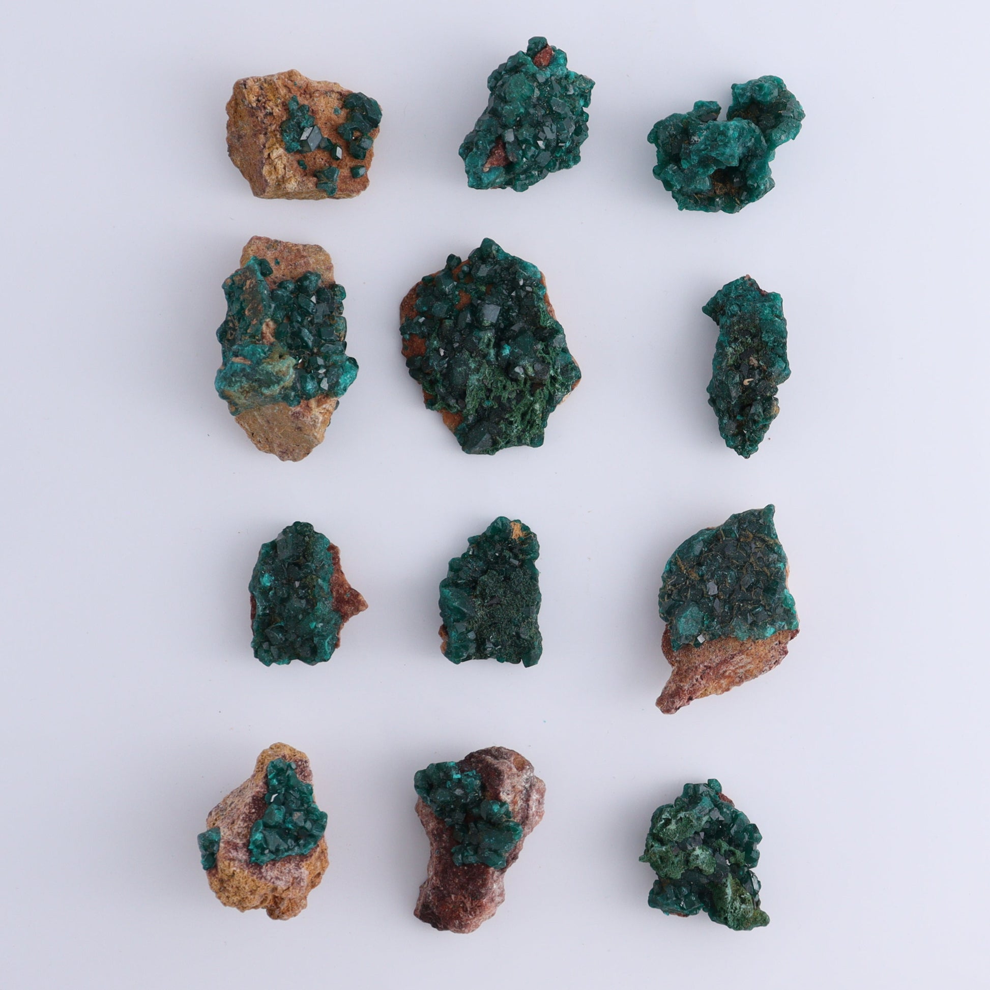 Dioptase Set of 12 - Expert Wholesale and Supplier of Wholesale Crystals & Bulk Gemstones, ["dioptase","Freeform","Freeforms"]