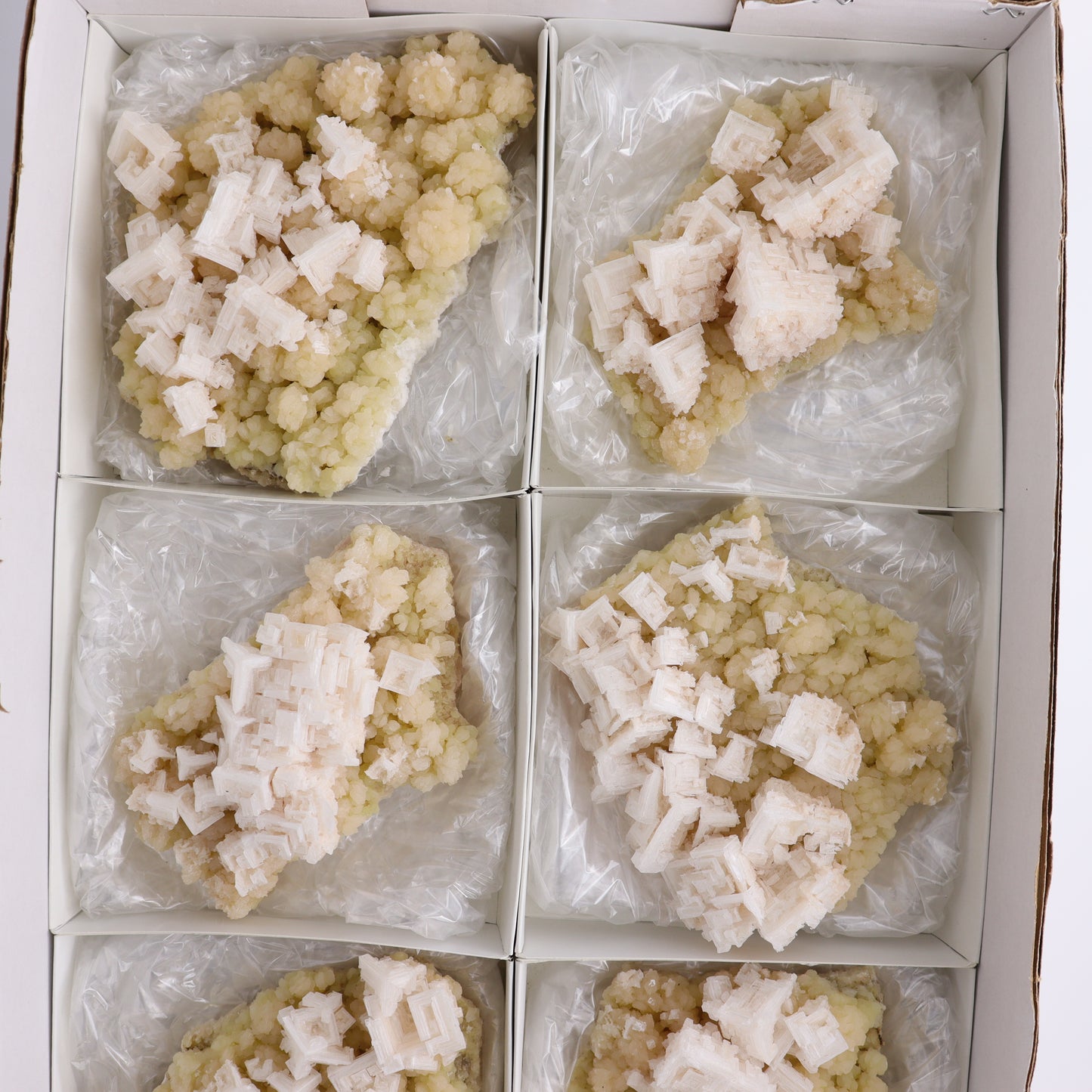 Halite Set of 6 - Expert Wholesale and Supplier of Wholesale Crystals & Bulk Gemstones, ["Halite","halite on trona","United States"]