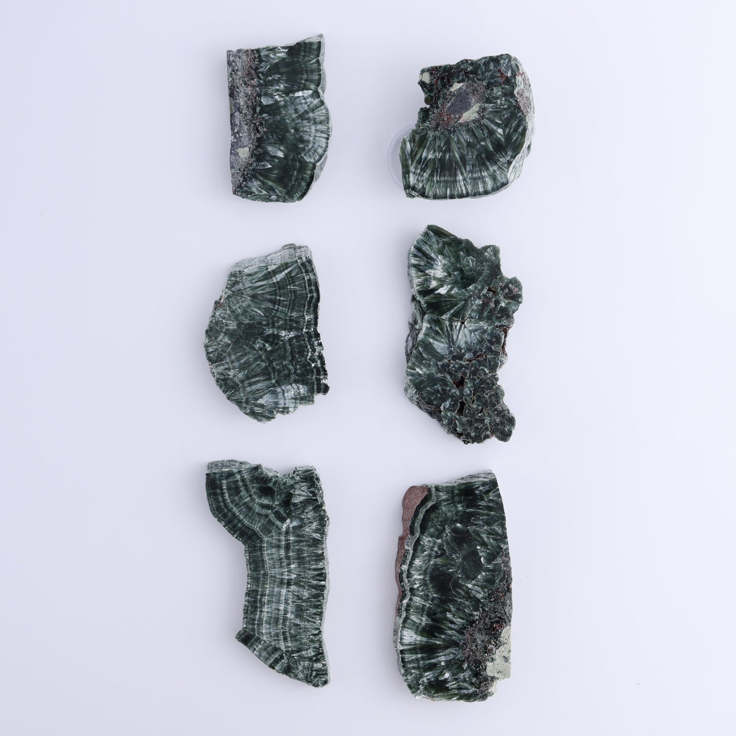 Seraphinite Slices Set of 6 - Expert Wholesale and Supplier of Wholesale Crystals & Bulk Gemstones, ["Russia","Seraphinite","Slices and Slabs"]
