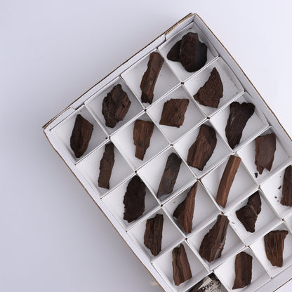 Permineralized Wood Flat of 24 - Expert Wholesale and Supplier of Wholesale Crystals & Bulk Gemstones, ["Flats","Germany","Permineralized Wood"]