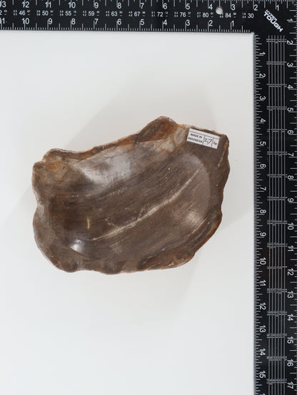 Petrified Wood Bowl - Expert Wholesale and Supplier of Wholesale Crystals & Bulk Gemstones, []