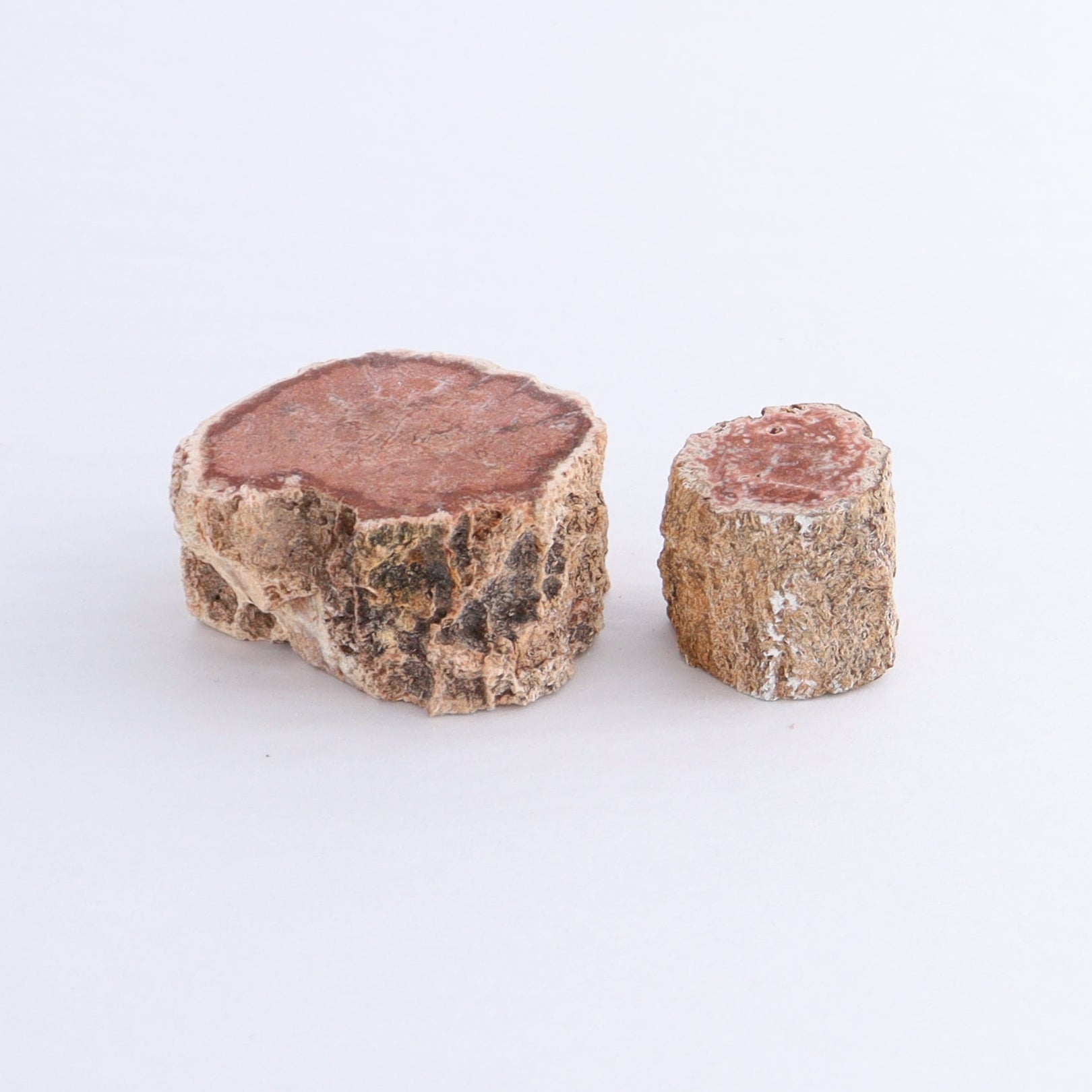 Petrified Wood Cut Bases Set of 10 - Expert Wholesale and Supplier of Wholesale Crystals & Bulk Gemstones, ["Cut Base","Petrified Wood"]