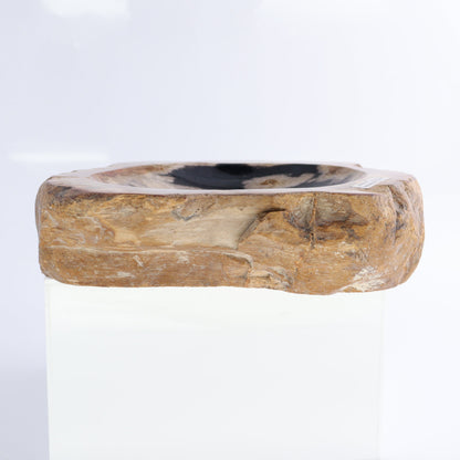 Petrified Wood Bowls Set of 2 - Expert Wholesale and Supplier of Wholesale Crystals & Bulk Gemstones, ["Bowls","Indonesia","Petrified Wood"]