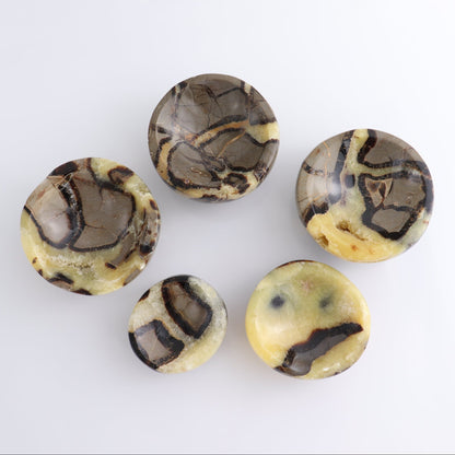 Septarian Bowls Set of 5