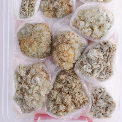 Blue Barite from Morocco Flat - Expert Wholesale and Supplier of Wholesale Crystals & Bulk Gemstones, ["Barite","Blue Barite","Clusters","Flats","Morocco"]