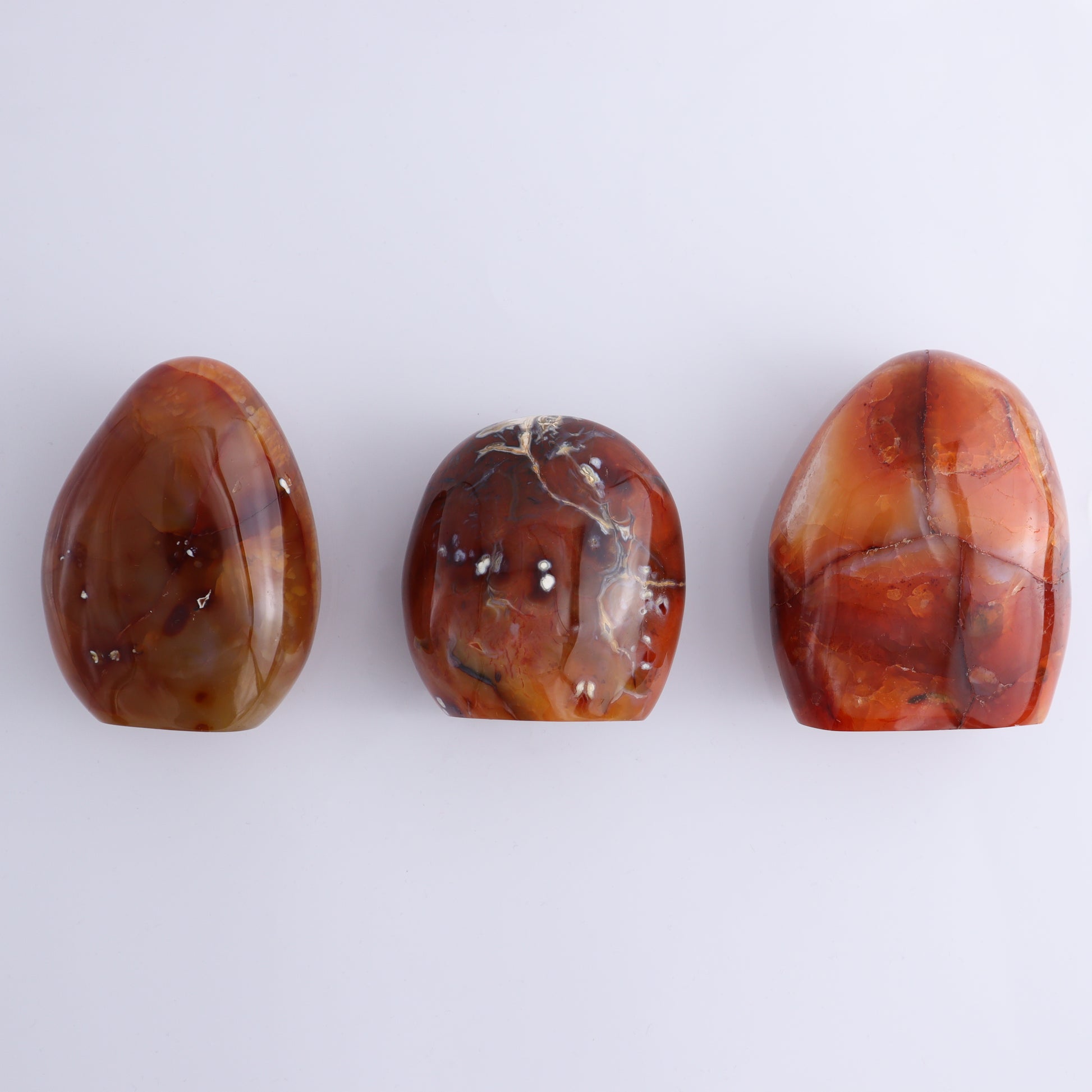 Carnelian Freeform Set of 11 - Expert Wholesale and Supplier of Wholesale Crystals & Bulk Gemstones, ["carnelian","Freeforms","Madagascar"]