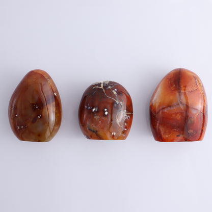 Carnelian Freeform Set of 11 - Expert Wholesale and Supplier of Wholesale Crystals & Bulk Gemstones, ["carnelian","Freeforms","Madagascar"]