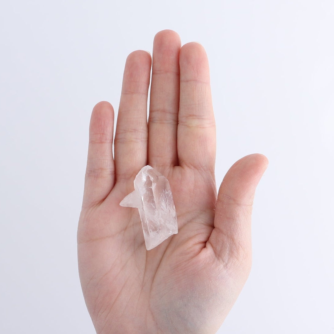 Lemurian Clusters from Columbia Set of 20