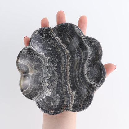 One Mexican Onyx/Calcite Zebra Scalloped Dish 14 cm