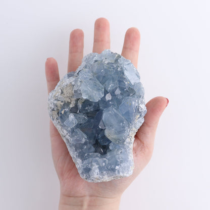 Celestite Clusters Set of 8