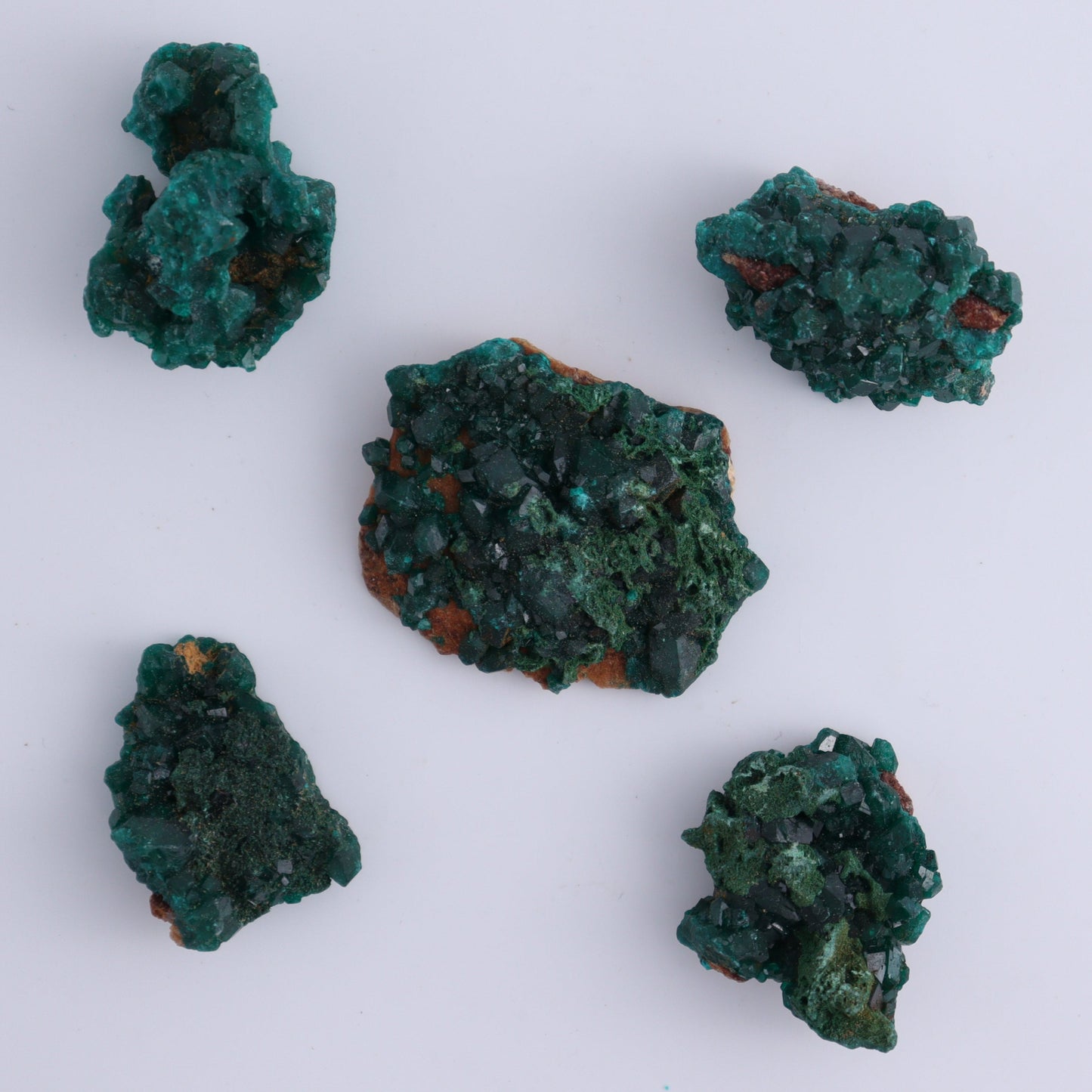 Dioptase Set of 12 - Expert Wholesale and Supplier of Wholesale Crystals & Bulk Gemstones, ["dioptase","Freeform","Freeforms"]