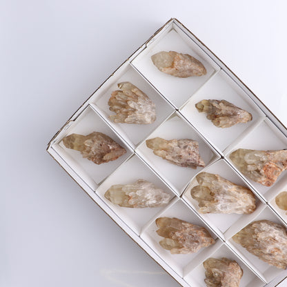 Congo Citrine Set of 12