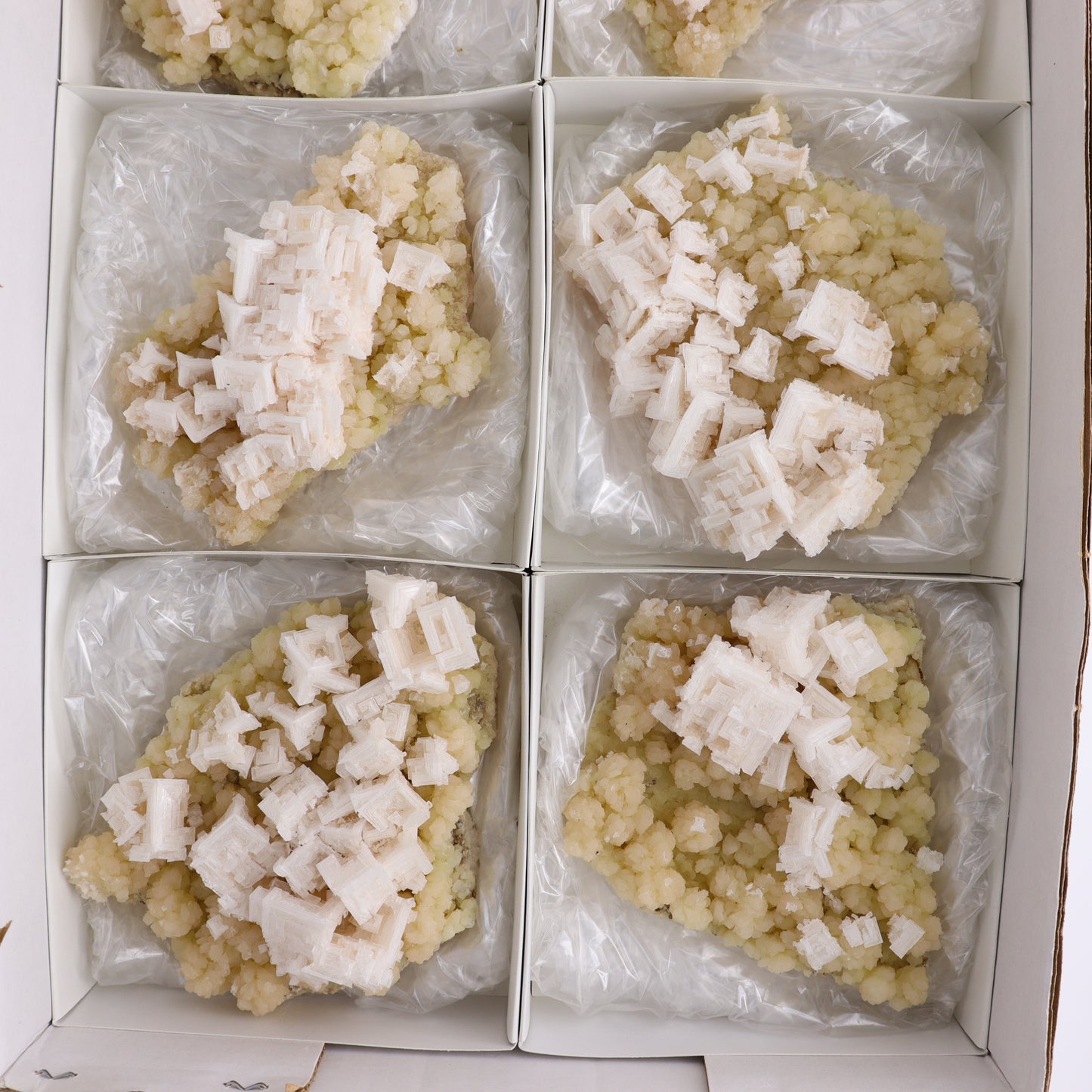 Halite Set of 6 - Expert Wholesale and Supplier of Wholesale Crystals & Bulk Gemstones, ["Halite","halite on trona","United States"]