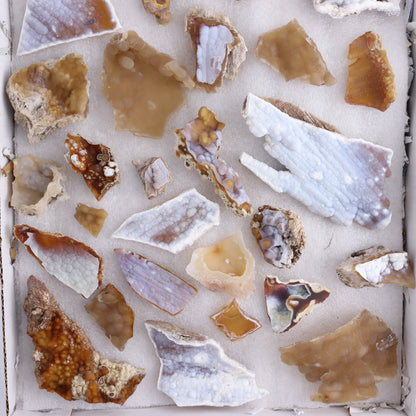 Agatized Coral Flat - Expert Wholesale and Supplier of Wholesale Crystals & Bulk Gemstones, ["Agate","Agatized Coral","Coral","United States"]
