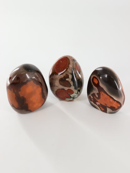 Polychrome Jasper Freeforms Set of 5 - Expert Wholesale and Supplier of Wholesale Crystals & Bulk Gemstones, []