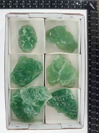 Fluorite Flat Set of 6