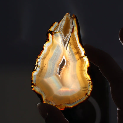 Iris Agate Slices Set of 8 - Expert Wholesale and Supplier of Wholesale Crystals & Bulk Gemstones, ["Agate","Iris Agate","Slices and Slabs"]
