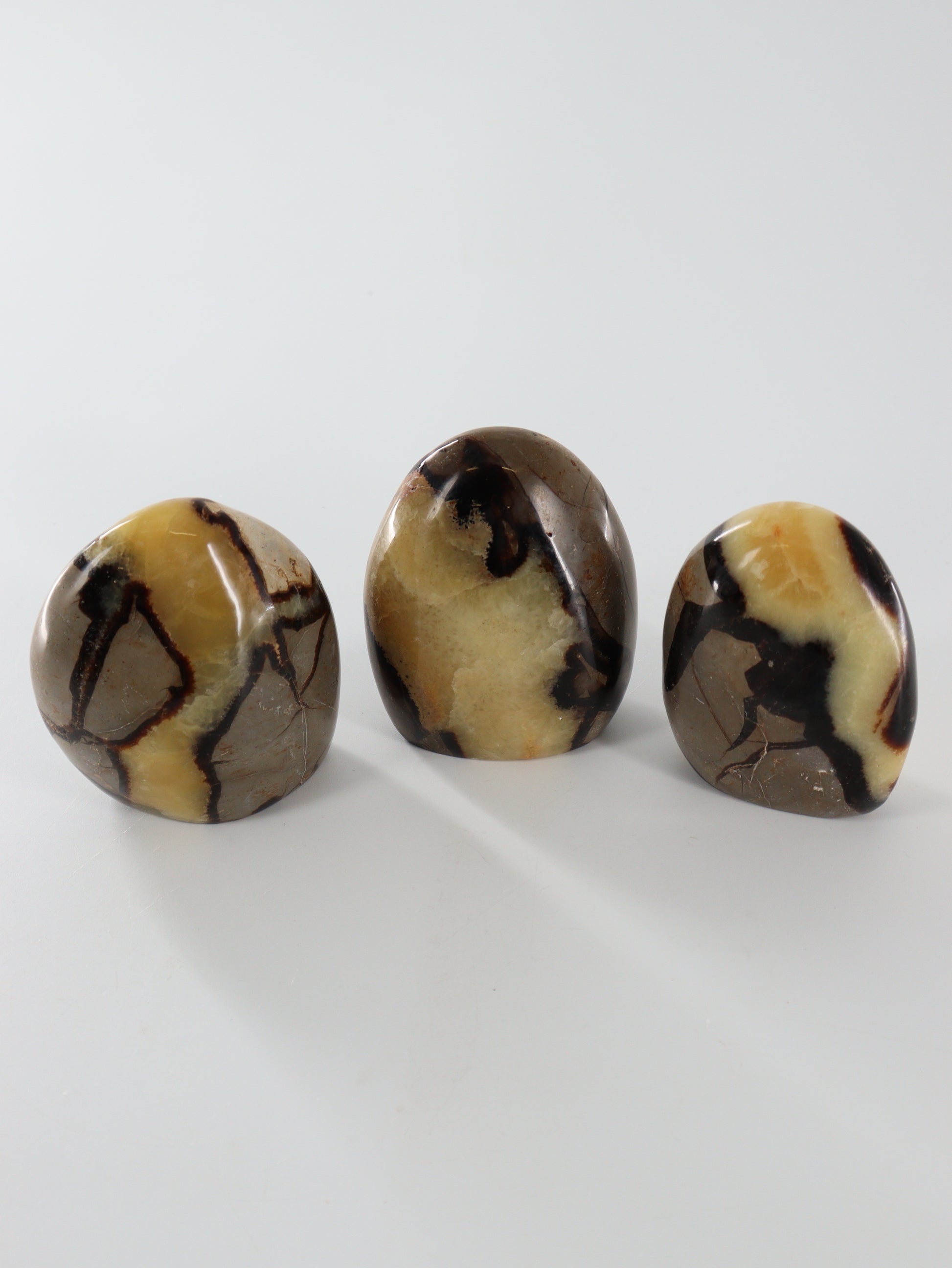 Sepatarian Freeforms Set of 12 - Expert Wholesale and Supplier of Wholesale Crystals & Bulk Gemstones, []