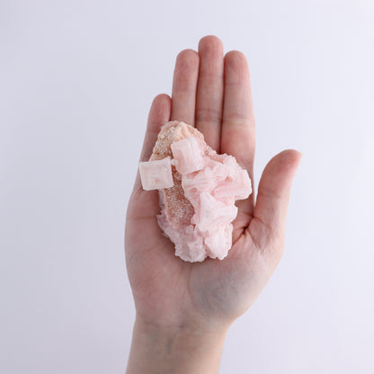 Searles Lake Halite Flat of 6 - Expert Wholesale and Supplier of Wholesale Crystals & Bulk Gemstones, ["Flats","Halite","United States"]