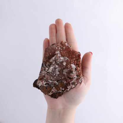 Calcite Flat of 6 - Expert Wholesale and Supplier of Wholesale Crystals & Bulk Gemstones, ["Calcite","close_70","Flats","Mexico"]