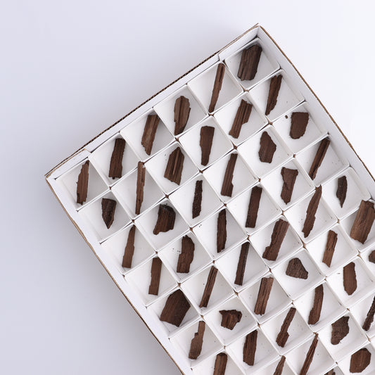 Permineralized Wood Flat of 54 - Expert Wholesale and Supplier of Wholesale Crystals & Bulk Gemstones, ["Flats","Germany","Permineralized Wood"]