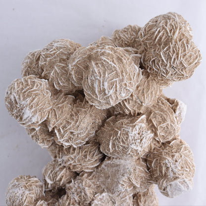 Desert Rose Cluster - Expert Wholesale and Supplier of Wholesale Crystals & Bulk Gemstones, ["Desert Rose","Freeforms"]