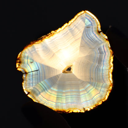 Iris Agate Slices Set of 7 - Expert Wholesale and Supplier of Wholesale Crystals & Bulk Gemstones, ["Agate","Iris Agate","Slices and Slabs"]