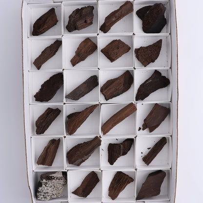 Permineralized Wood Flat of 24 - Expert Wholesale and Supplier of Wholesale Crystals & Bulk Gemstones, ["Flats","Germany","Permineralized Wood"]