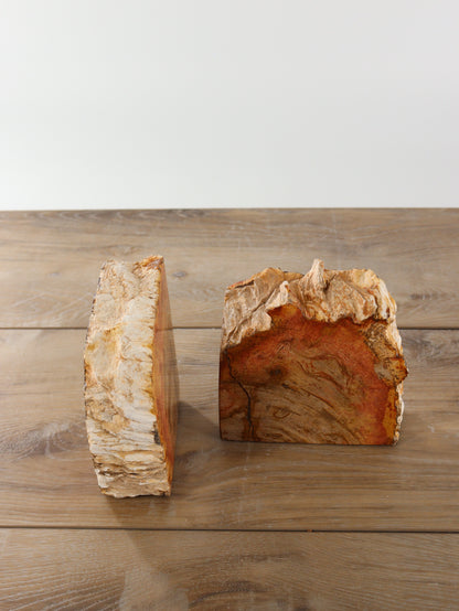 Petrified Wood Bookends - Expert Supplier of Wholesale Crystals & Bulk Gemstones