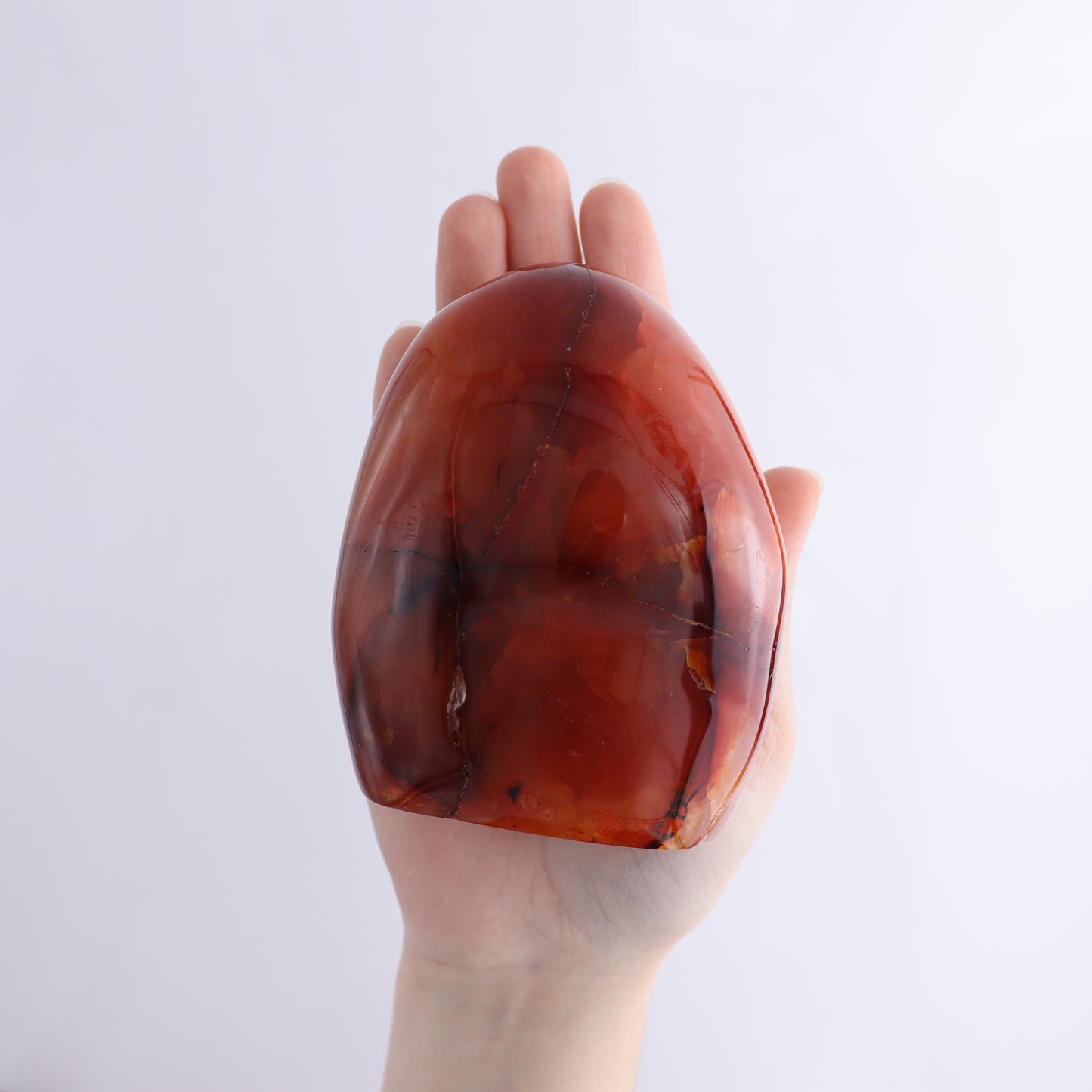 Carnelian Freeform Set of 11 - Expert Wholesale and Supplier of Wholesale Crystals & Bulk Gemstones, ["carnelian","Freeforms","Madagascar"]