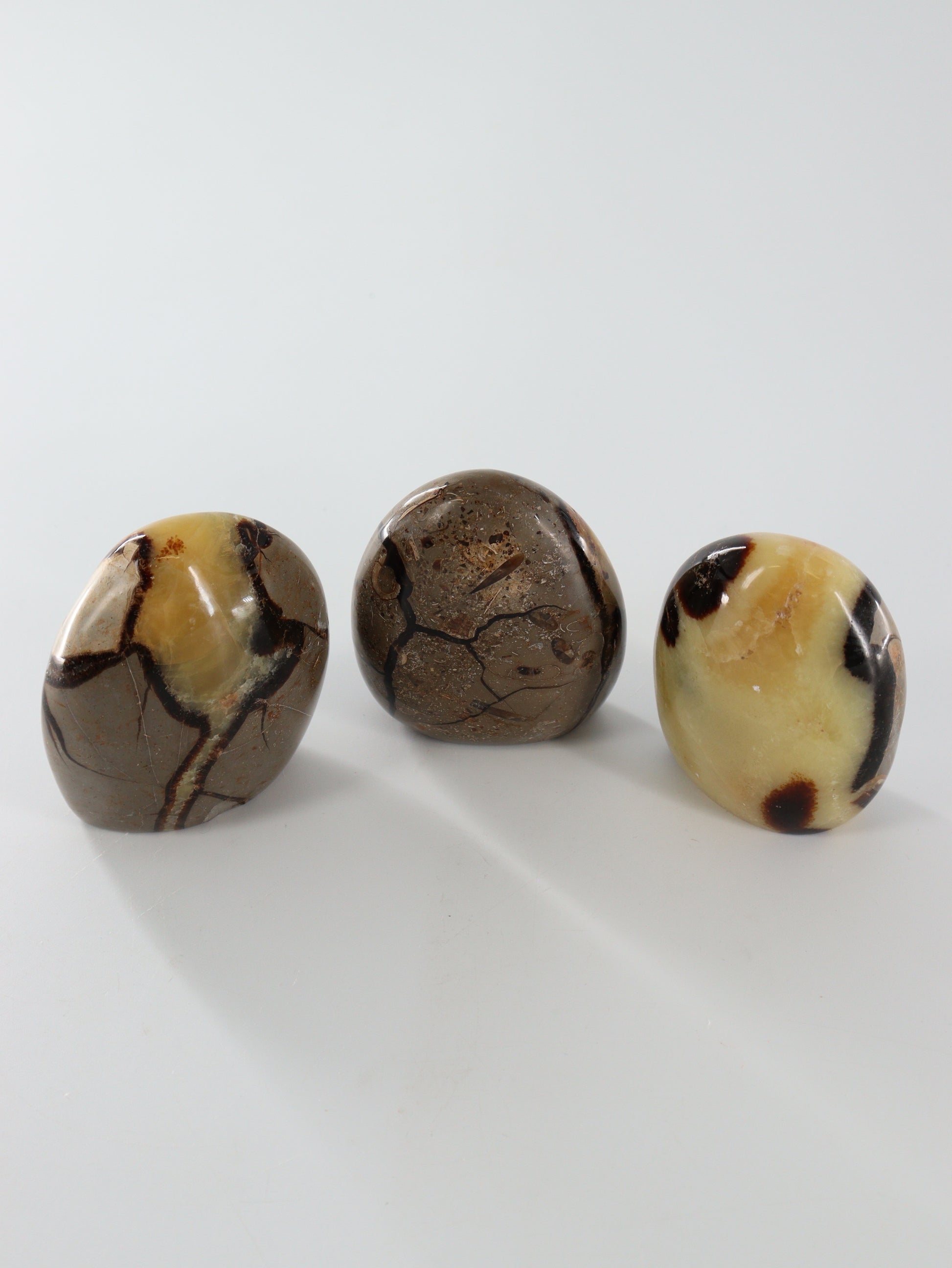 Sepatarian Freeforms Set of 12 - Expert Wholesale and Supplier of Wholesale Crystals & Bulk Gemstones, []