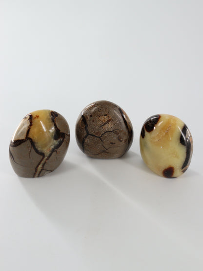Sepatarian Freeforms Set of 12 - Expert Wholesale and Supplier of Wholesale Crystals & Bulk Gemstones, []