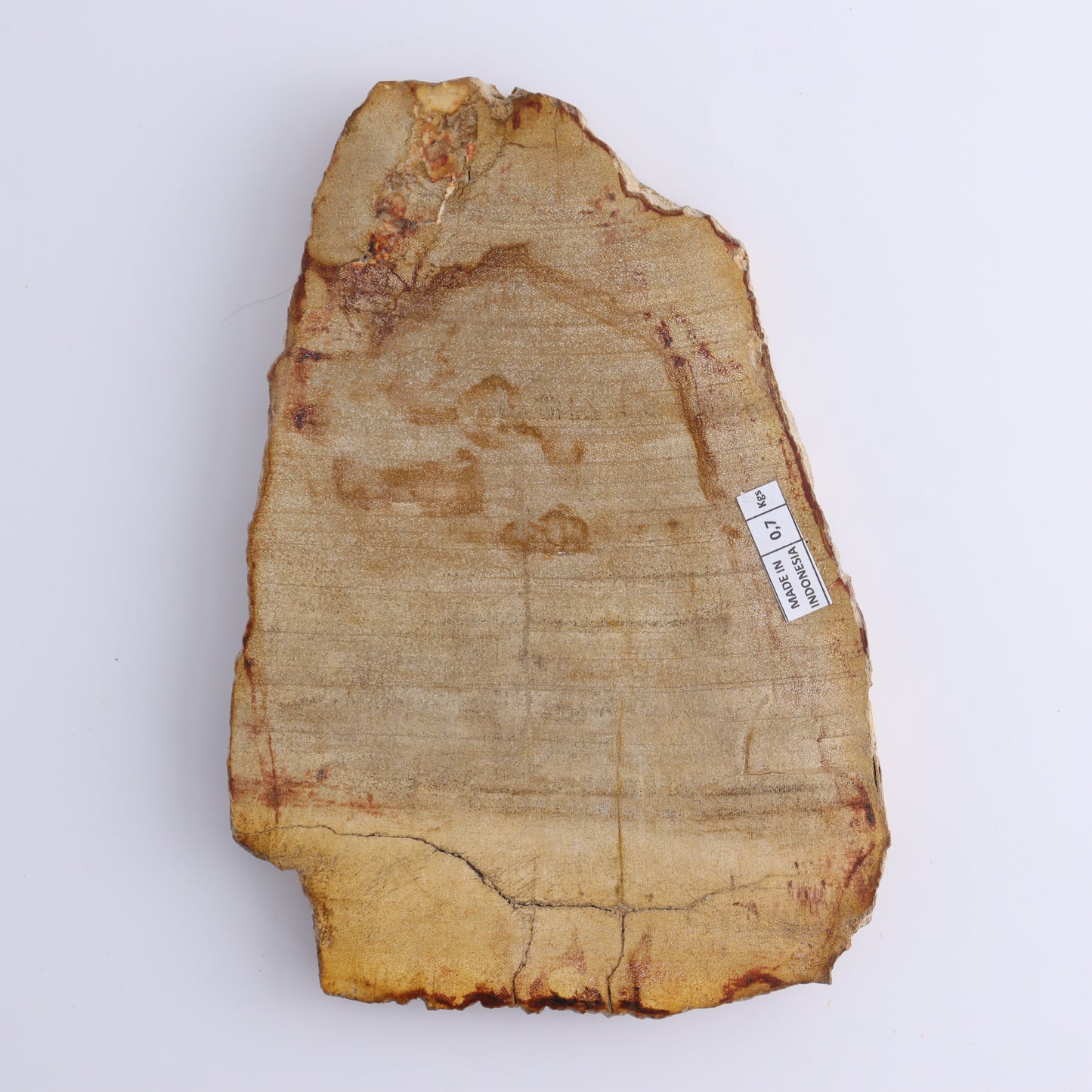 Petrified Wood Slices & Slabs Set of 3 - Expert Wholesale and Supplier of Wholesale Crystals & Bulk Gemstones, ["Freeforms","Indonesia","Petrified Wood","Slices and Slabs"]