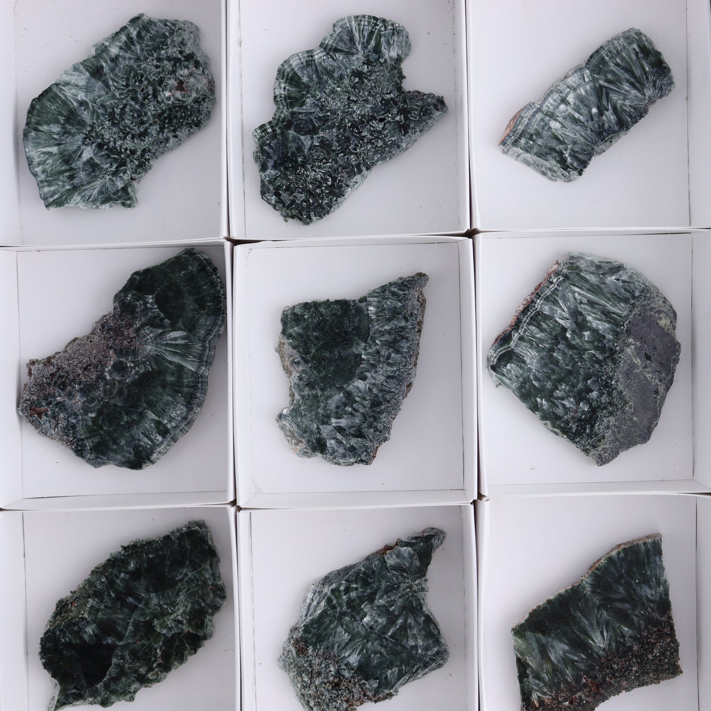 Seraphinite Slices Set of 12 - Expert Wholesale and Supplier of Wholesale Crystals & Bulk Gemstones, ["Seraphinite","Slices and Slabs"]