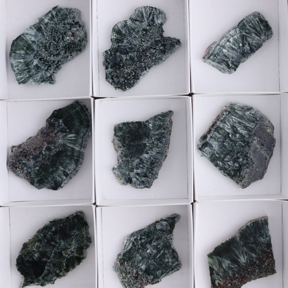 Seraphinite Slices Set of 12 - Expert Wholesale and Supplier of Wholesale Crystals & Bulk Gemstones, ["Seraphinite","Slices and Slabs"]