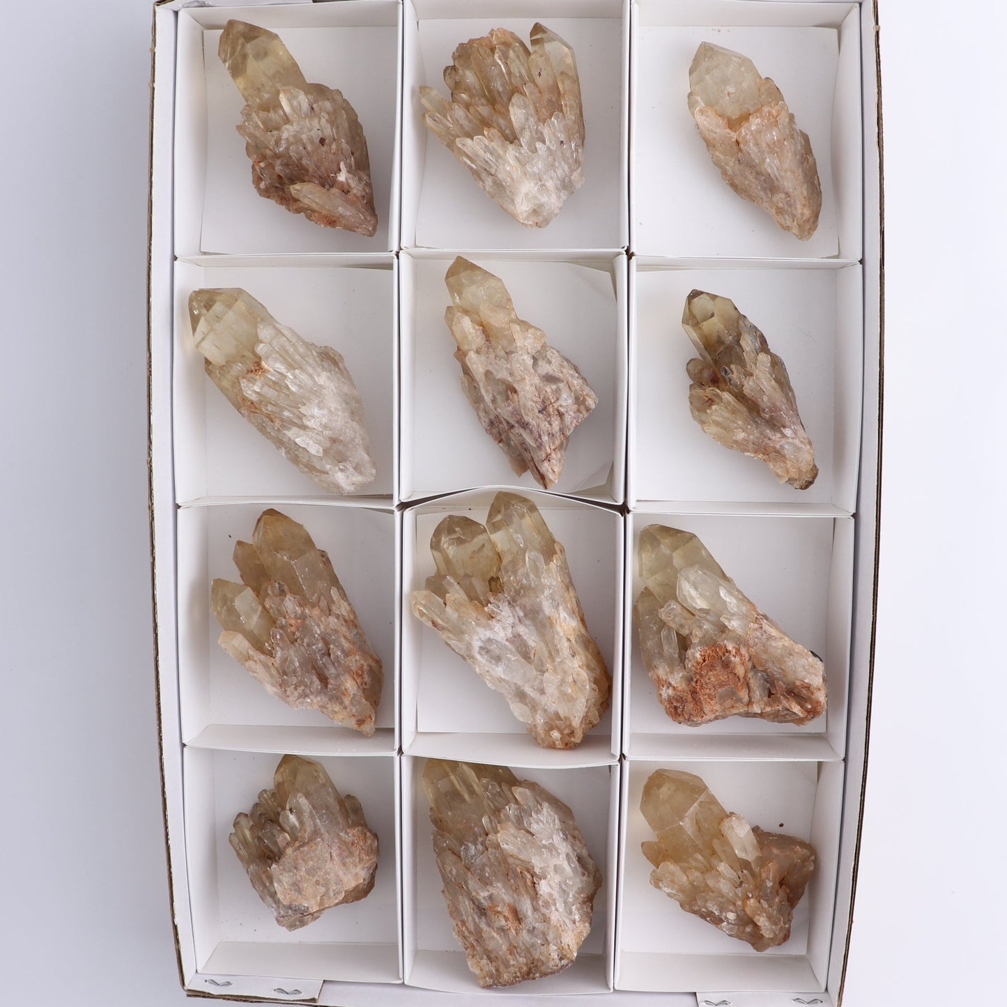 Congo Citrine Set of 12
