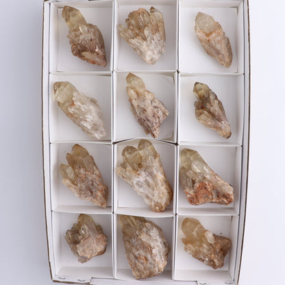 Congo Citrine Set of 12