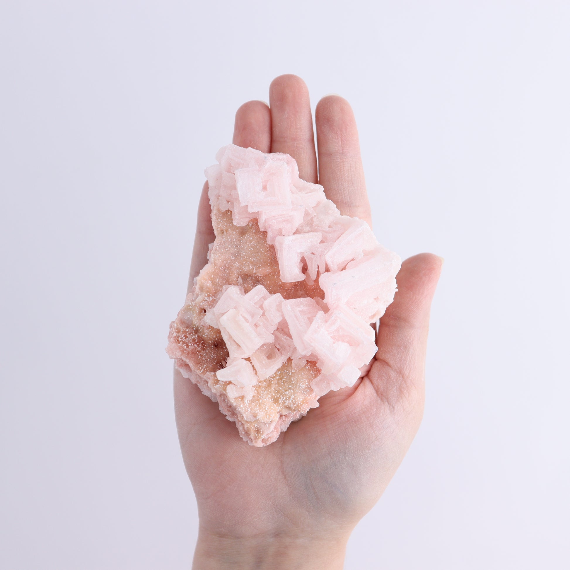 Searles Lake Halite Flat of 6 - Expert Wholesale and Supplier of Wholesale Crystals & Bulk Gemstones, ["Flats","Halite","United States"]