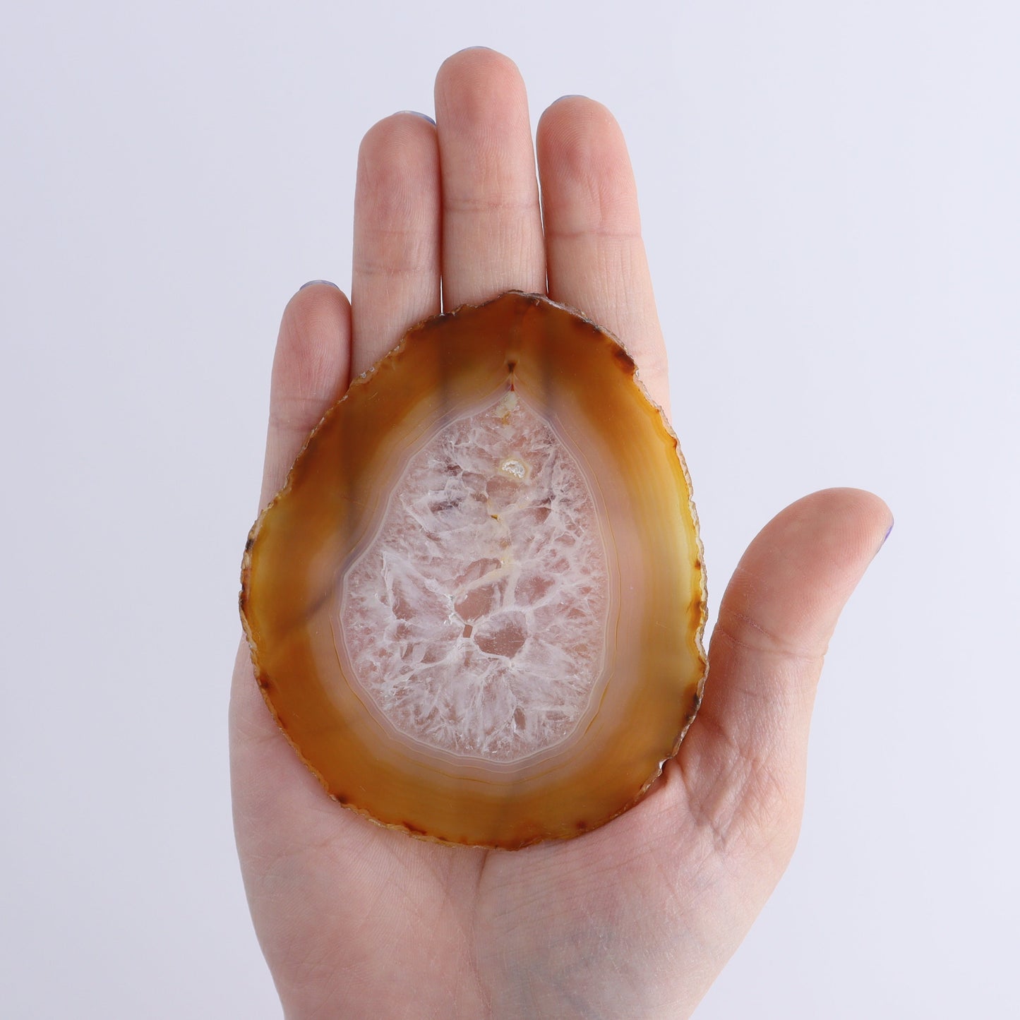 Iris Agate Slices Set of 5 - Expert Wholesale and Supplier of Wholesale Crystals & Bulk Gemstones, ["Agate","Iris Agate","Slices and Slabs"]