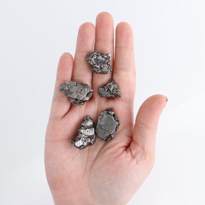Campos del Cielo Meteorites Set of 10