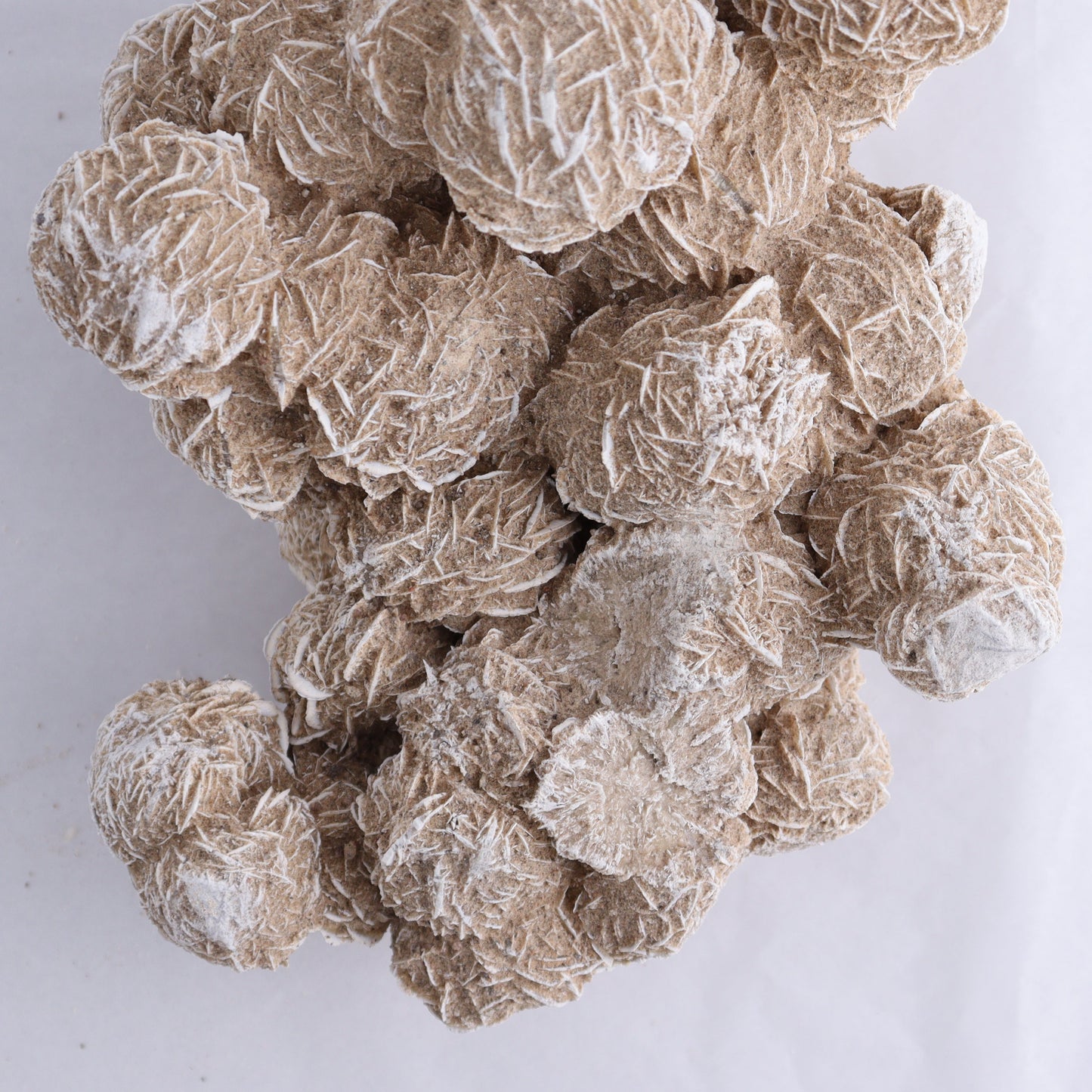 Desert Rose Cluster - Expert Wholesale and Supplier of Wholesale Crystals & Bulk Gemstones, ["Desert Rose","Freeforms"]