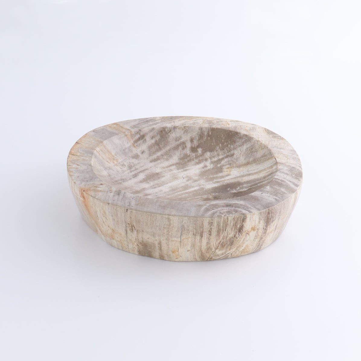 One Petrified Wood Beige Polished Bowl