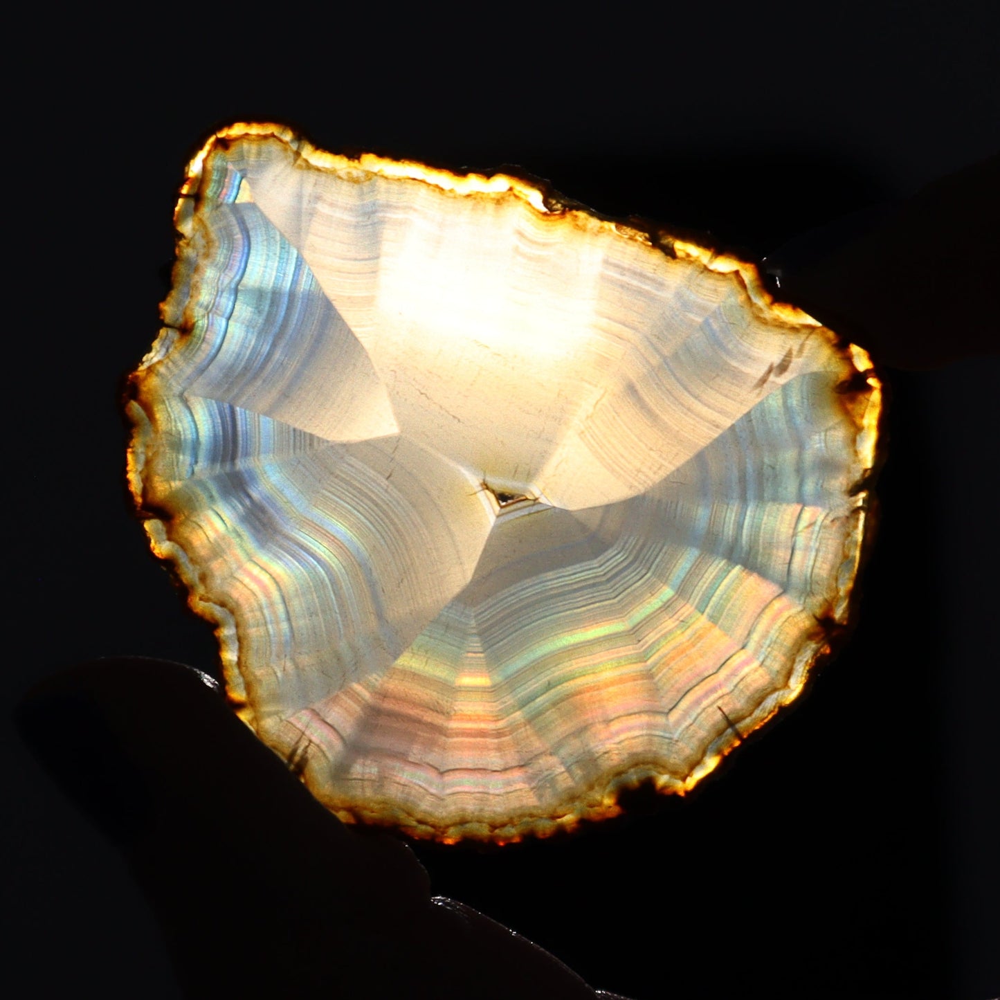 Iris Agate Slices Set of 7 - Expert Wholesale and Supplier of Wholesale Crystals & Bulk Gemstones, ["Agate","Iris Agate","Slices and Slabs"]