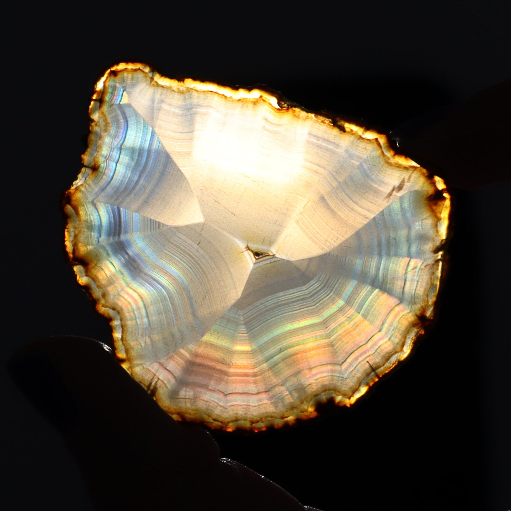 Iris Agate Slices Set of 7 - Expert Wholesale and Supplier of Wholesale Crystals & Bulk Gemstones, ["Agate","Iris Agate","Slices and Slabs"]