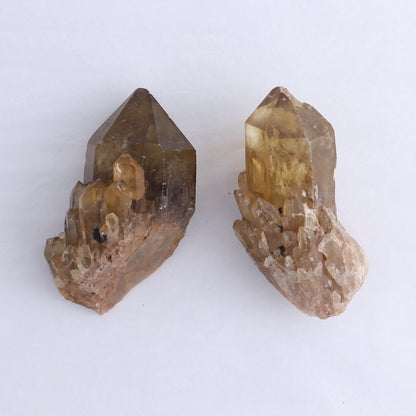 Congo Citrine Set of 6 - wholesale crystals