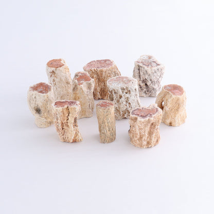 Petrified Wood Cut Bases Set of 10 - Expert Wholesale and Supplier of Wholesale Crystals & Bulk Gemstones, ["Cut Base","Petrified Wood"]