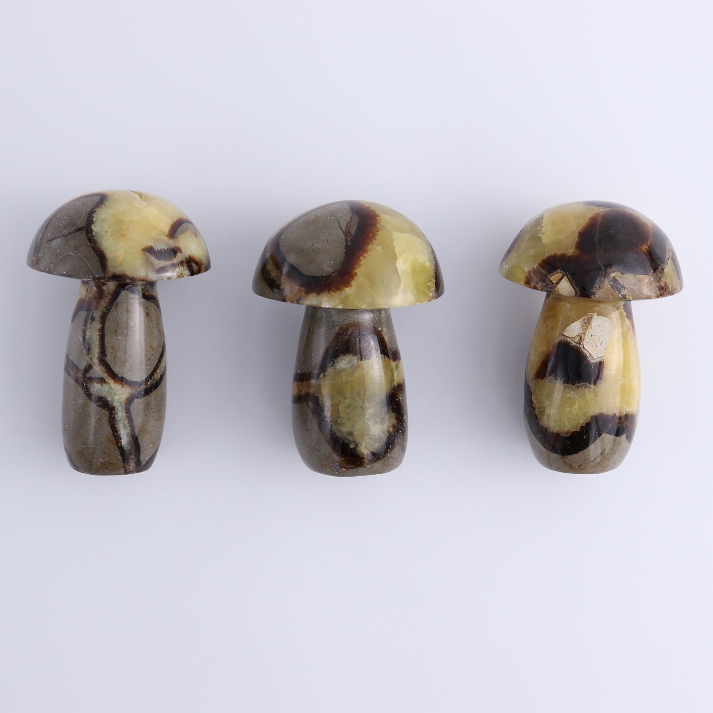 Septarian Mushrooms Set of 9 - Expert Wholesale and Supplier of Wholesale Crystals & Bulk Gemstones, ["Mushrooms","Septarian"]