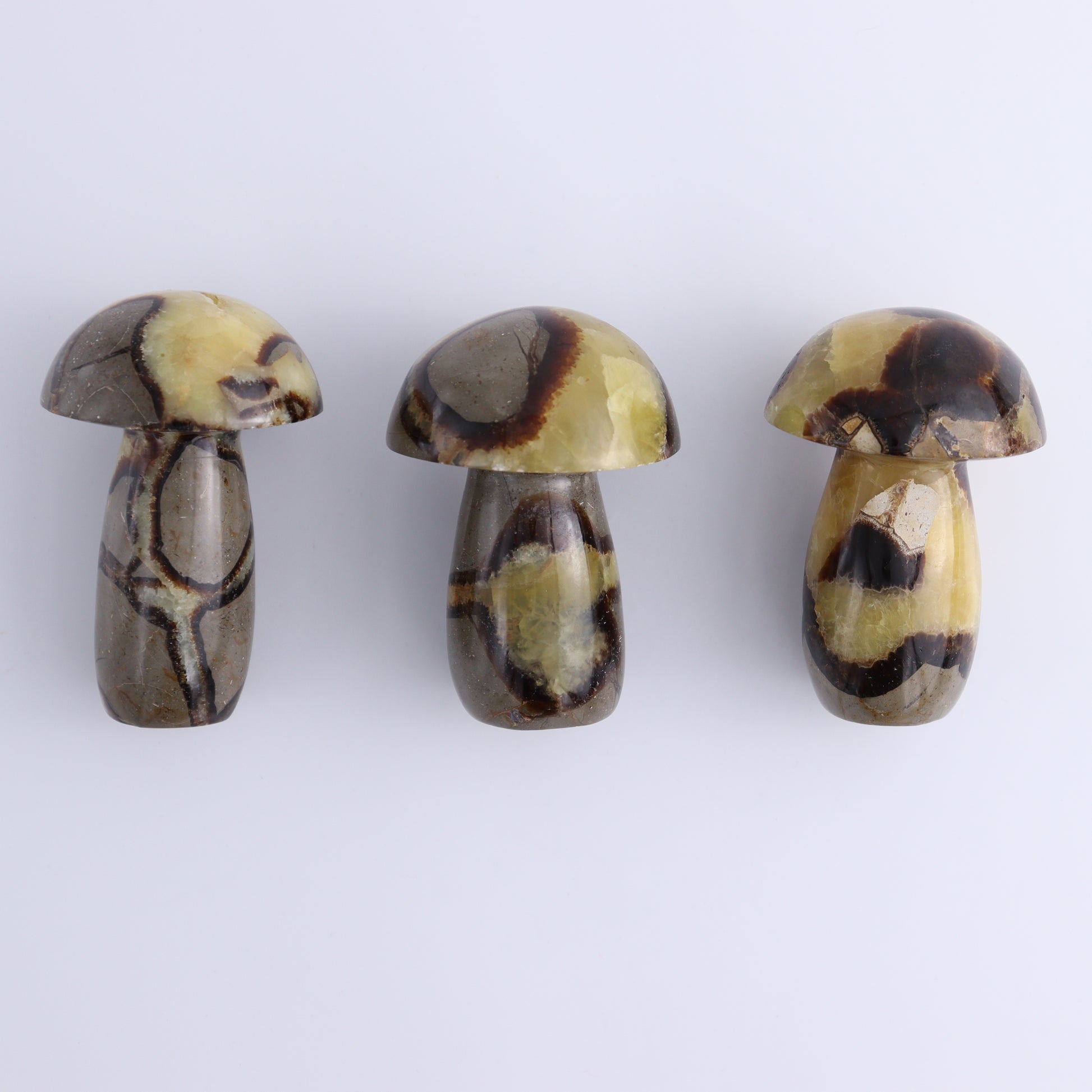 Septarian Mushrooms Set of 9 - Expert Wholesale and Supplier of Wholesale Crystals & Bulk Gemstones, ["Mushrooms","Septarian"]